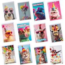 Blank Greeting Card & Envelope - Humour, Assorted Designs